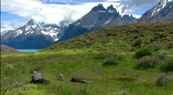 Vos avis et commentaires sur 66 minutes grand format en Patagonie le 05/06/2016
