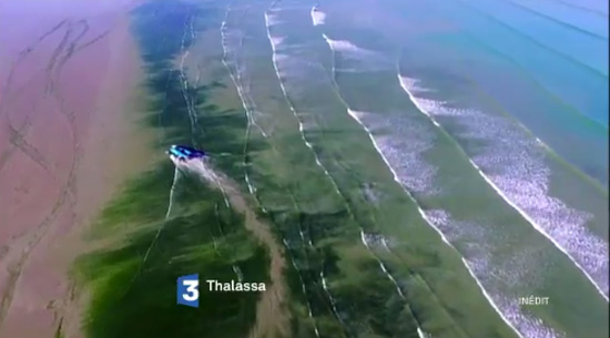 Vos avis sur Thalassa du vendredi 17 juin 2016 : comment sauver la mer ?