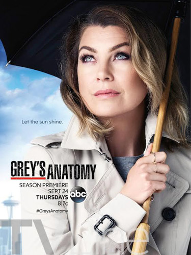 Le poster promo de Grey's Anatomy saison 12 très réussi / Photo ABC-Tvline