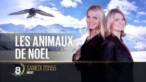 Actualité TV