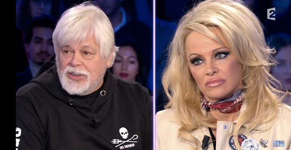 Avis sur Pamela Anderson dans On n'est pas couché chez Ruquier