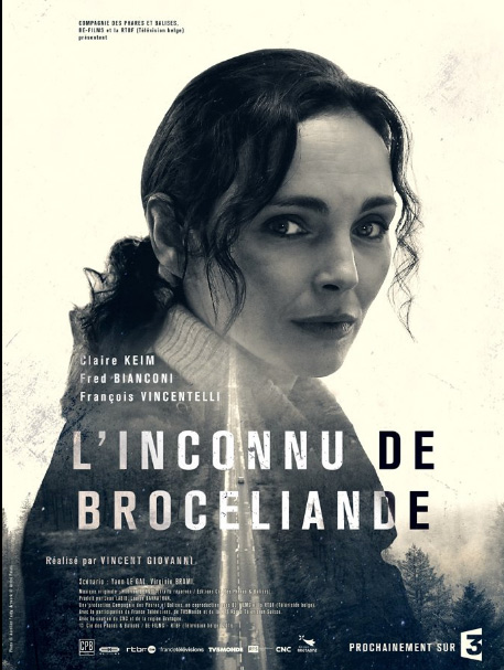 Le poster de l'inconnu de Brocéliande