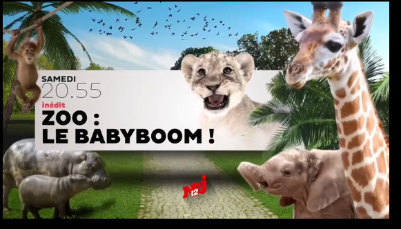 Vos avis et commentaires sur Zoo Baby boom de nRJ12 le document girly (anti-foot lol). 