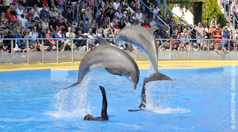 Marineland arrive sur TMC en inédit le 24/08/2016