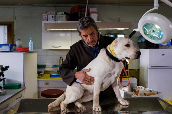 la doc et le véto