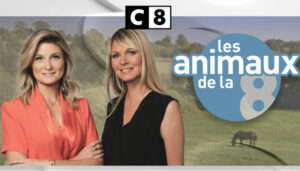 Actualité TV