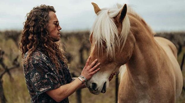 Audience Panda (série TF1) avec Julien Doré : Bon bilan le jeudi ...